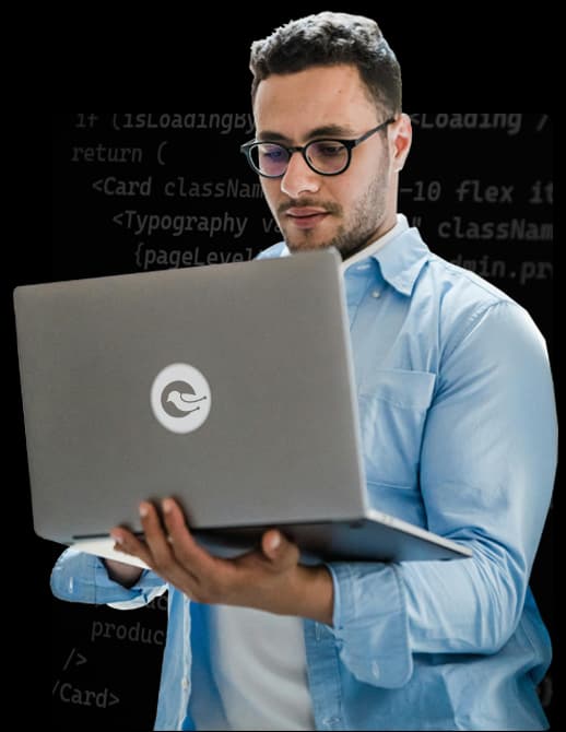 Profesional de diseño web